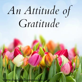An Attitude of Gratitude