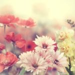 The time we spend teaching our daughters--biological and spiritual--about the joys and responsibilities of womanhood will provide benefits for generations to come.