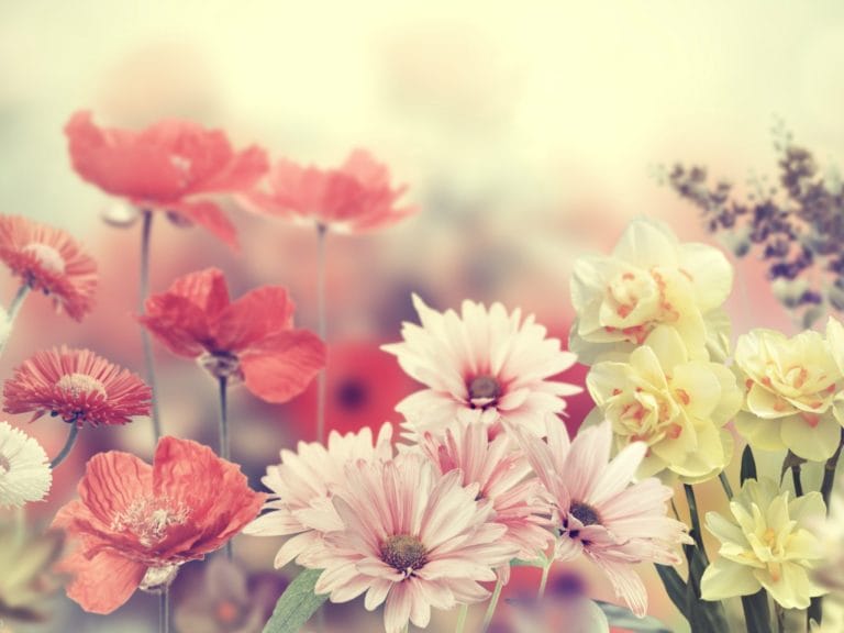 The time we spend teaching our daughters--biological and spiritual--about the joys and responsibilities of womanhood will provide benefits for generations to come.