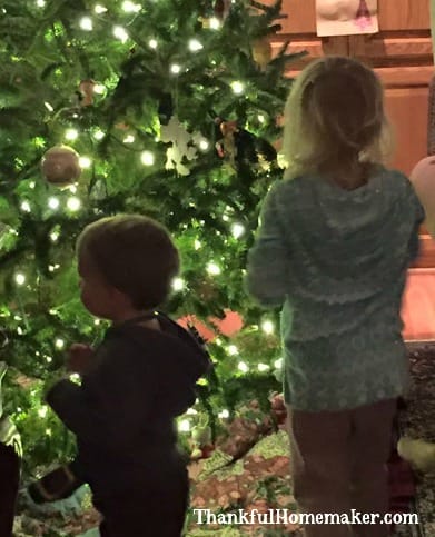 Two of my grandbabies helping decorate the tree this year. 