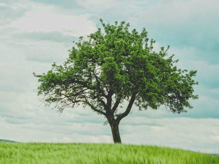 What does it look like to be a mature Christian? @mferrell