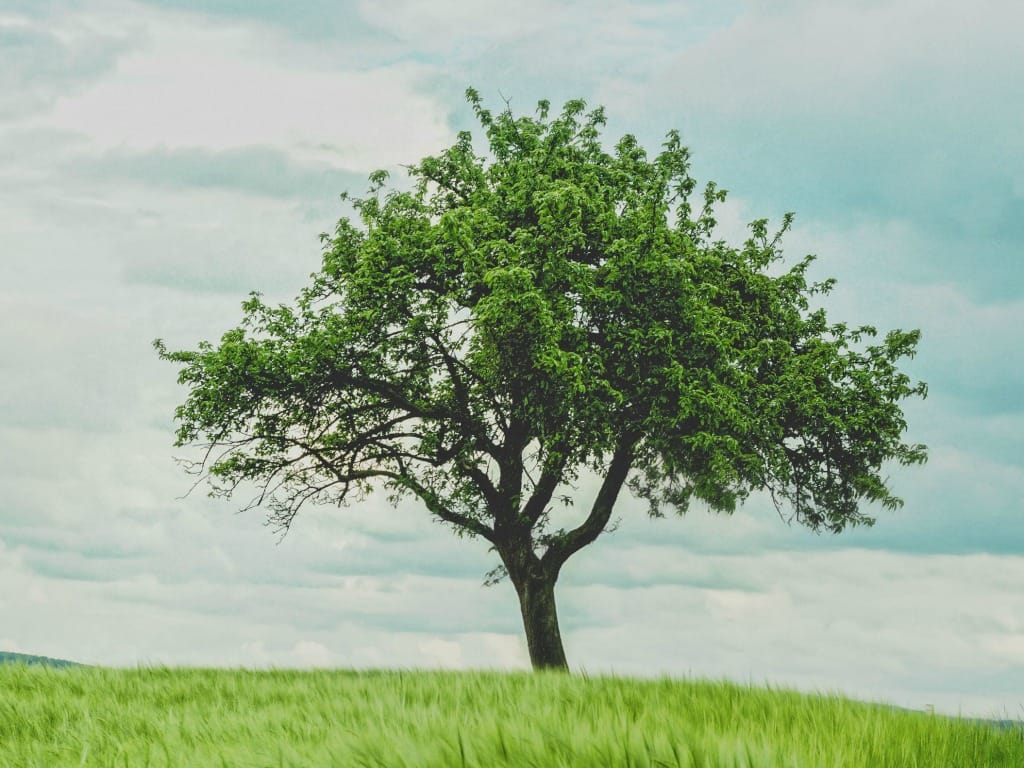 What does it look like to be a mature Christian? @mferrell