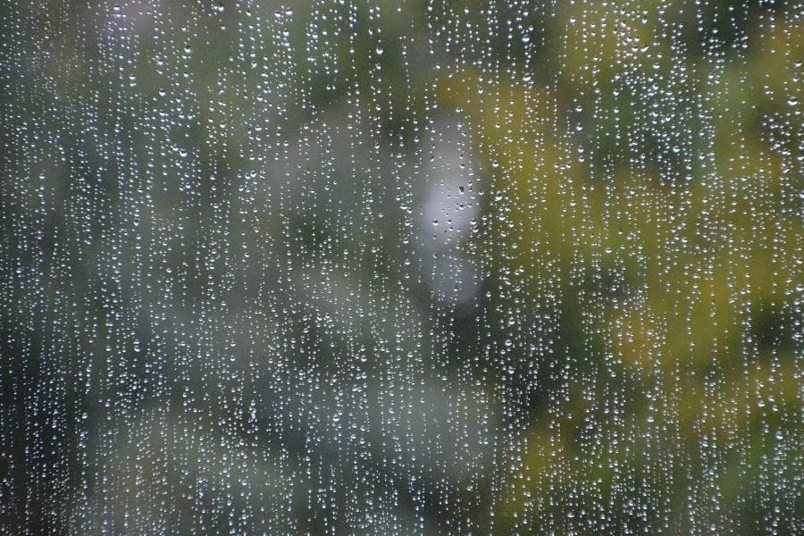 True spiritual mourning produces a hatred for our sin and a repentant heart that desires to be in a right relationship with the Lord. We should desire to be holy as God is holy.