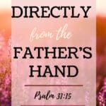 God has ordained every circumstance of our lives to be worked out for our good and for His glory. We can rest knowing that every aspect of our lives is under His divine control. #Psalm31 #sovereignGod #trustingGod @mferrell