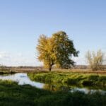 A Walk Through Psalm 1