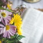 Giving thanks in all things @thankfulhomemaker