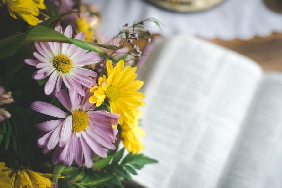 Giving thanks in all things @mferrell