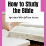 My hope in the podcast today is to whet your appetite and to get you started on a path of regular Bible study. #biblestudy @thankfulhomemaker
