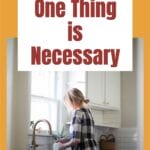 When we lose sight of our Savior amid our ordinary tasks, we are missing out on the good portion. #maryandmartha #servanthood @thankfuhomemaker