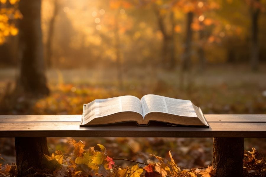 Open Bible resting on a wooden bench surrounded by autumn leaves, with soft morning sunlight filtering through the trees — symbolizing peace, reflection, and God’s Word.